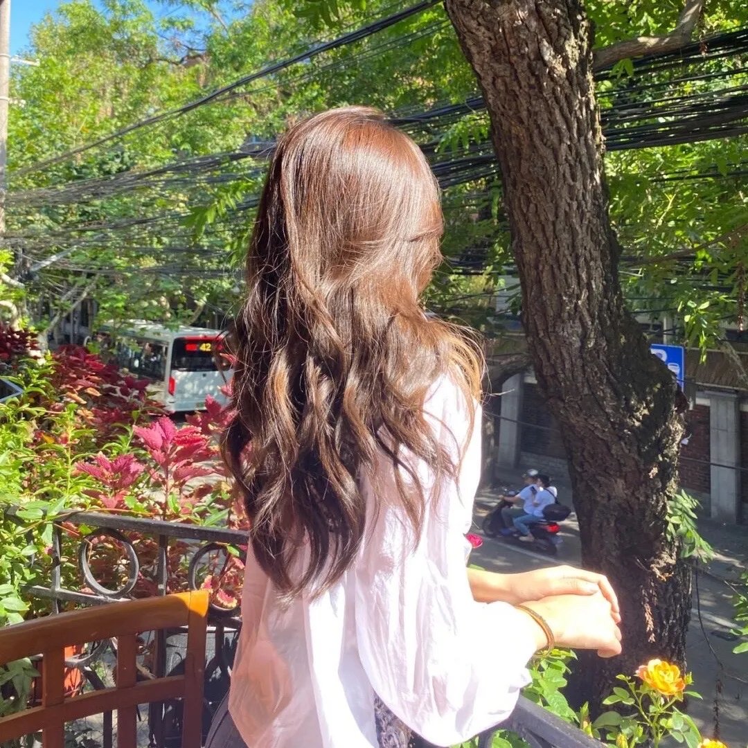 太阳花