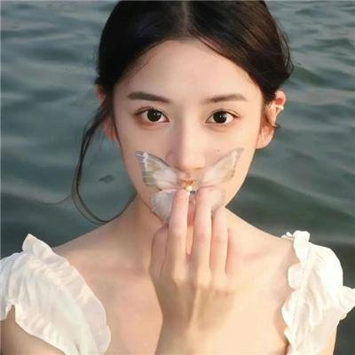 非洲孤狼